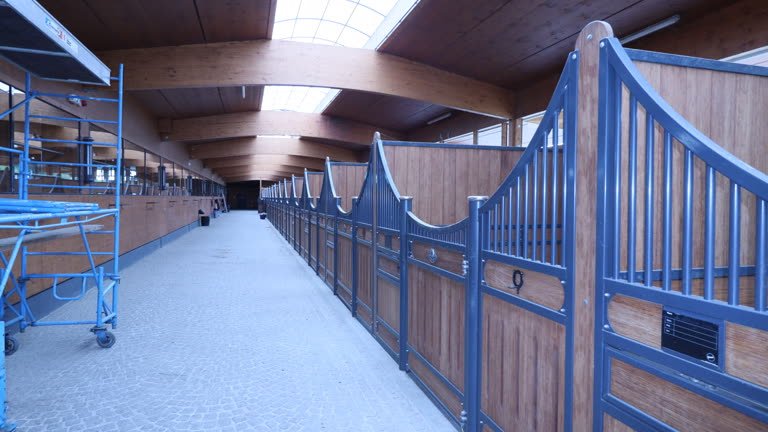Stallgasse mit Innenboxen einer Reitanlage